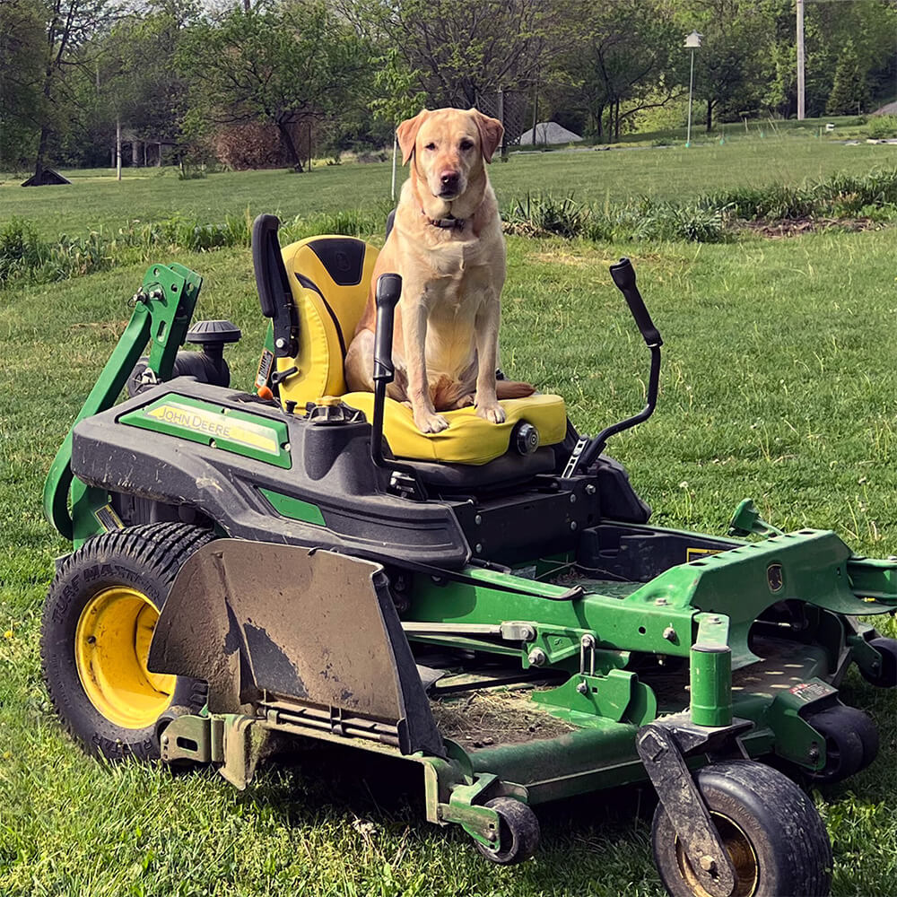 Sandy on lawn mower